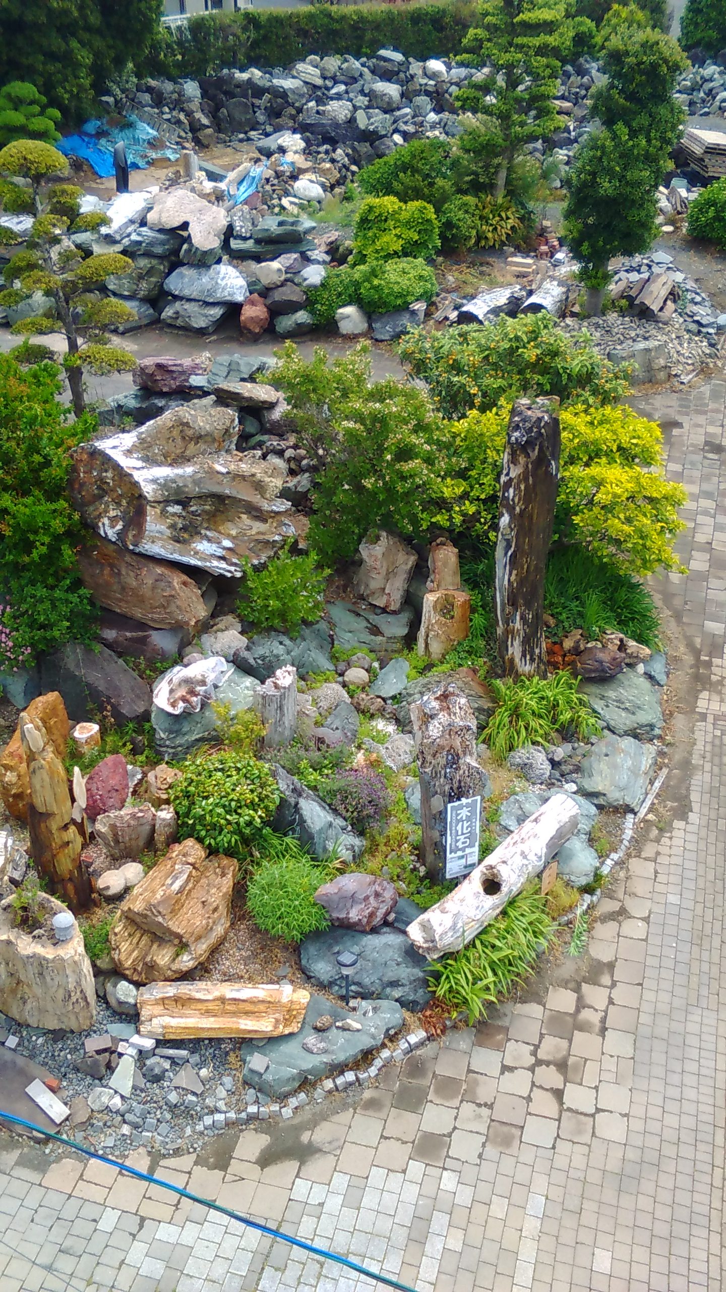 珪化木展示用 | 静岡県焼津市アースグリーン | 庭石販売 静岡 焼津