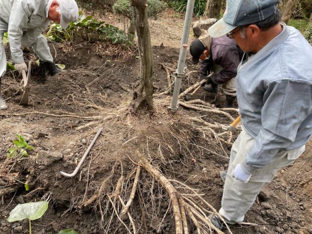 TOP | 静岡県焼津市アースグリーン | 庭石販売 静岡 焼津 藤枝 島田