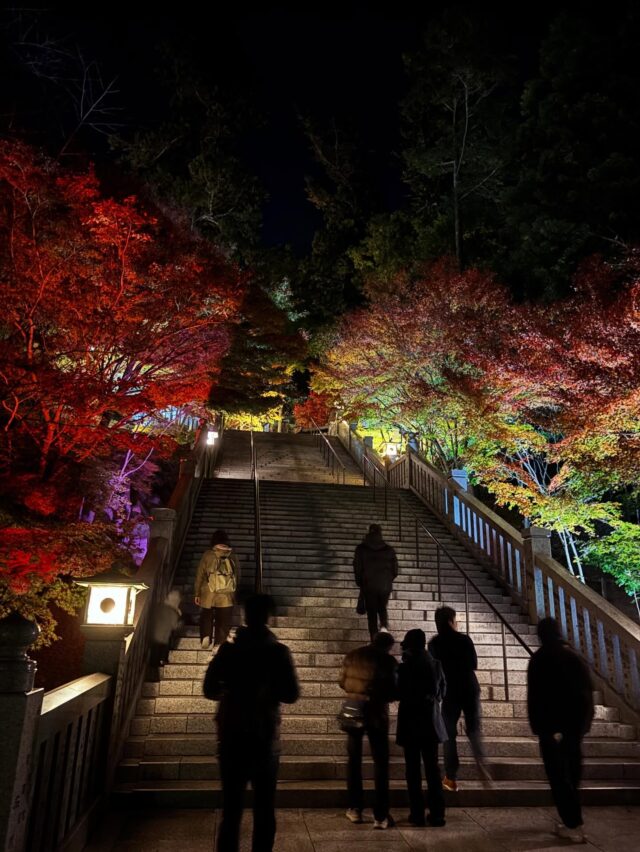 TOP | 静岡県焼津市アースグリーン | 庭石販売 静岡 焼津 藤枝 島田